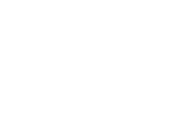 logo-selfe